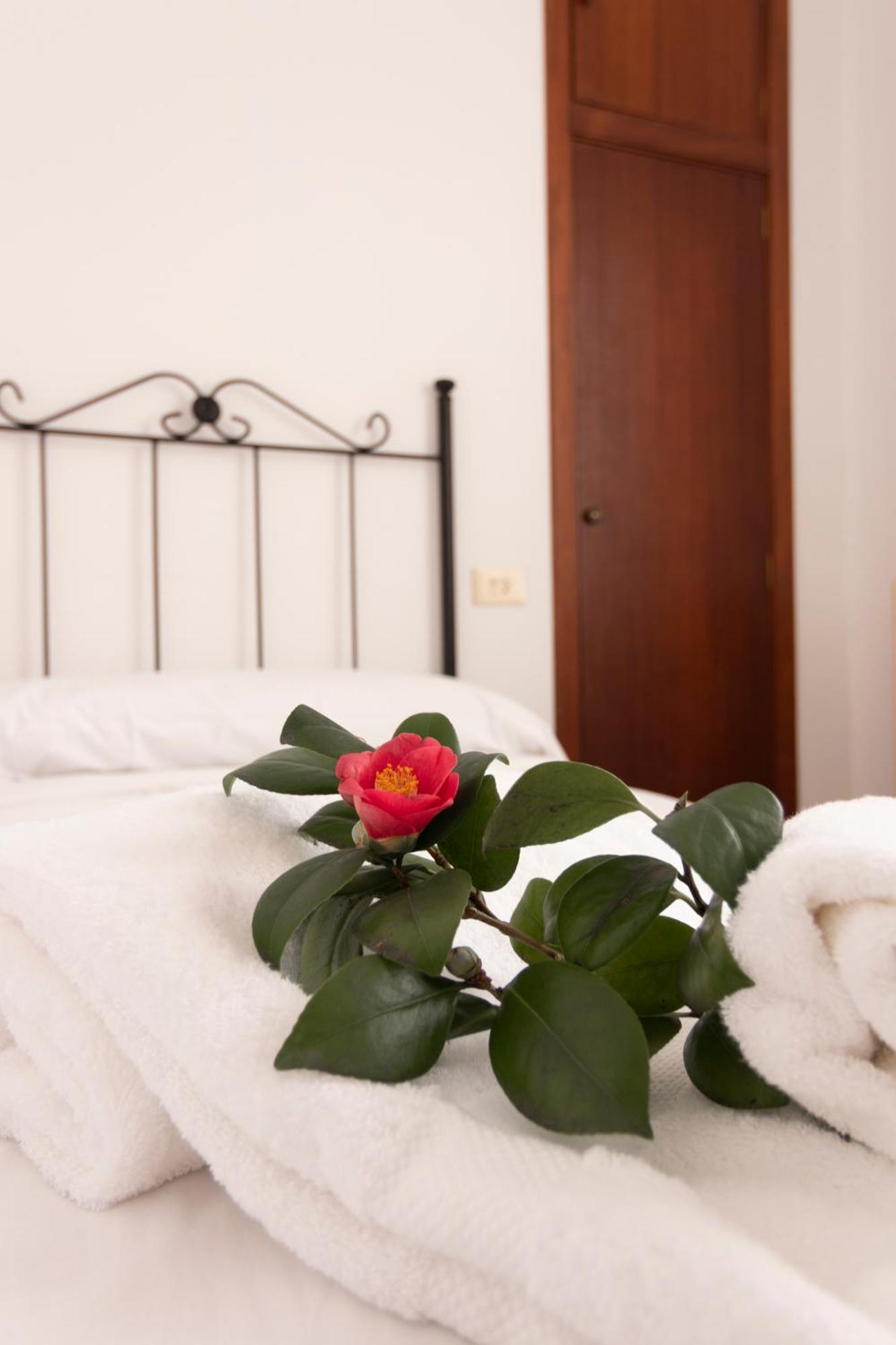 Hostal San Cristobal - Pontedeume Bagian luar foto